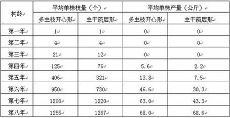 Multi-main-branch open center tree shape of pear tree and pruning method for pear tree