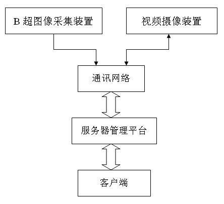 Long-distance ultrasonic diagnosis system