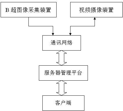 Long-distance ultrasonic diagnosis system