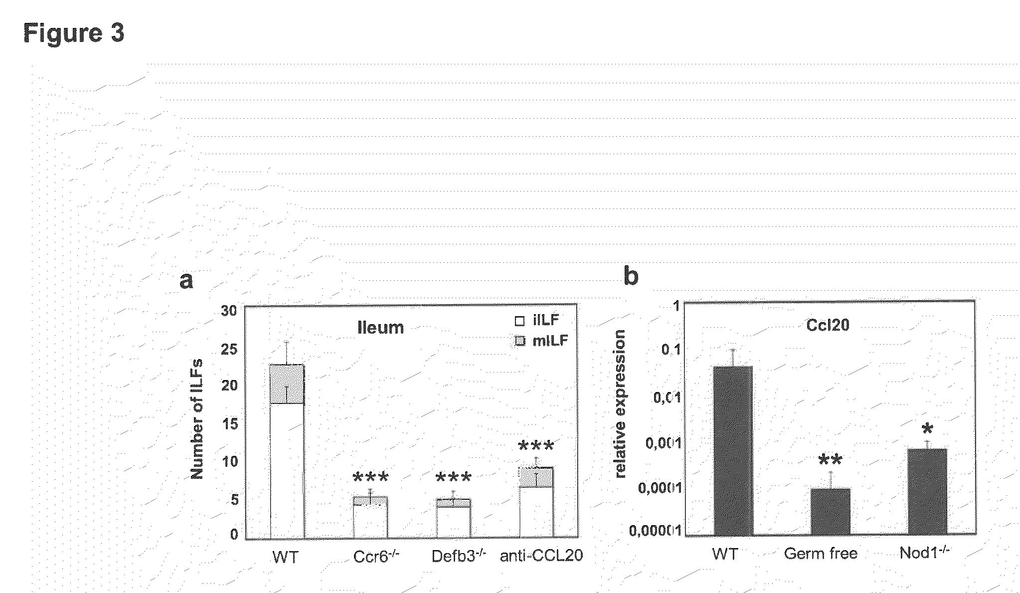 Method for inducing lymphoid tissue and modulating intestinal homeostasis