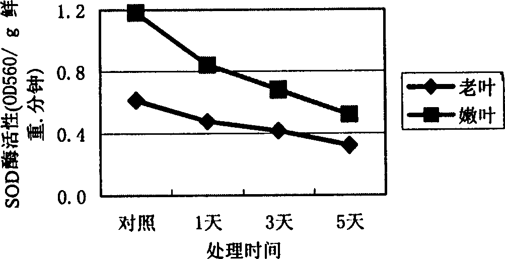 Water hyacinth biological inhibitor and its preparing method