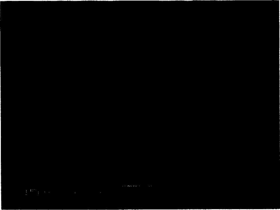 Anode material of lithium ion battery in use for safety type miner's lamp, and preparation method