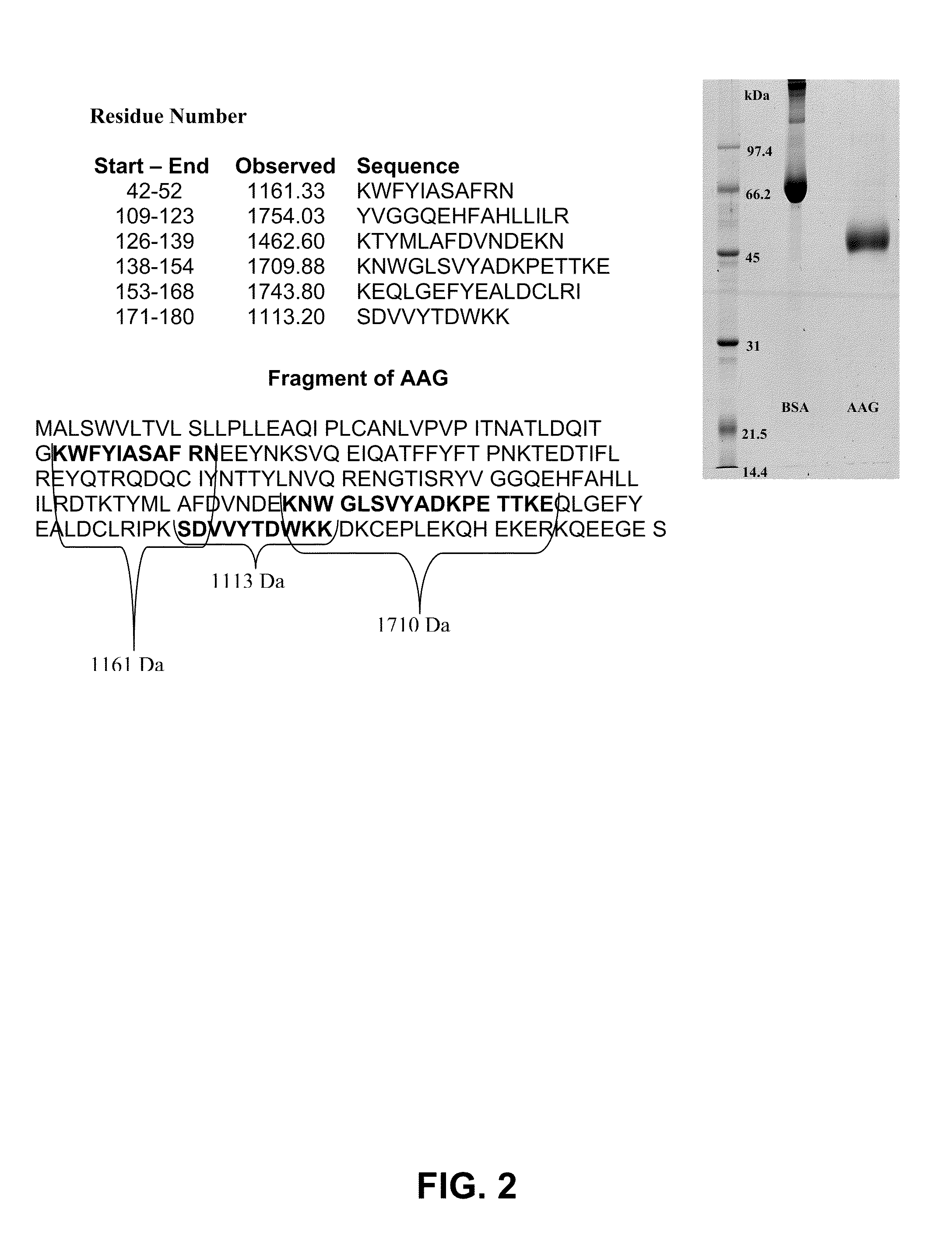 Diagnostic test for hepatocellular carcinoma