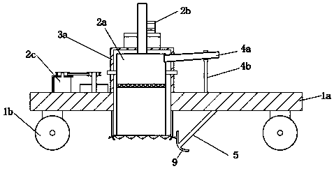 Seeding device for wheat