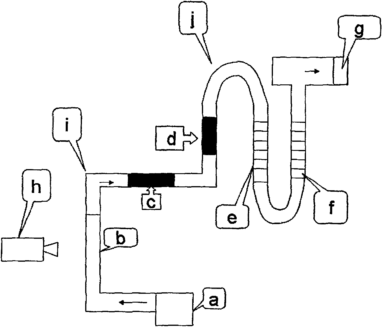 Testing device for analyzing moving function of animal limb and footmark