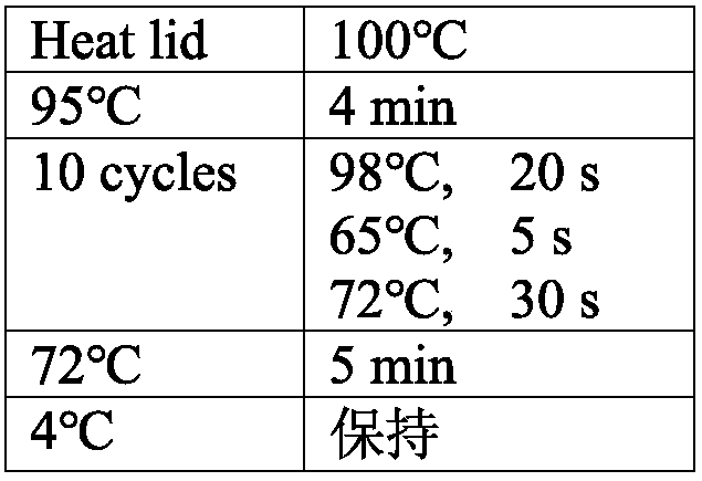 Method for rapidly capturing and building database