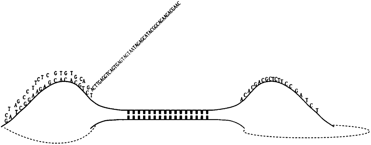 Method for rapidly capturing and building database