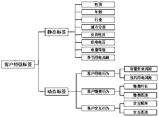 Analytic hierarchy process based power consumer feature tag weight system construction method