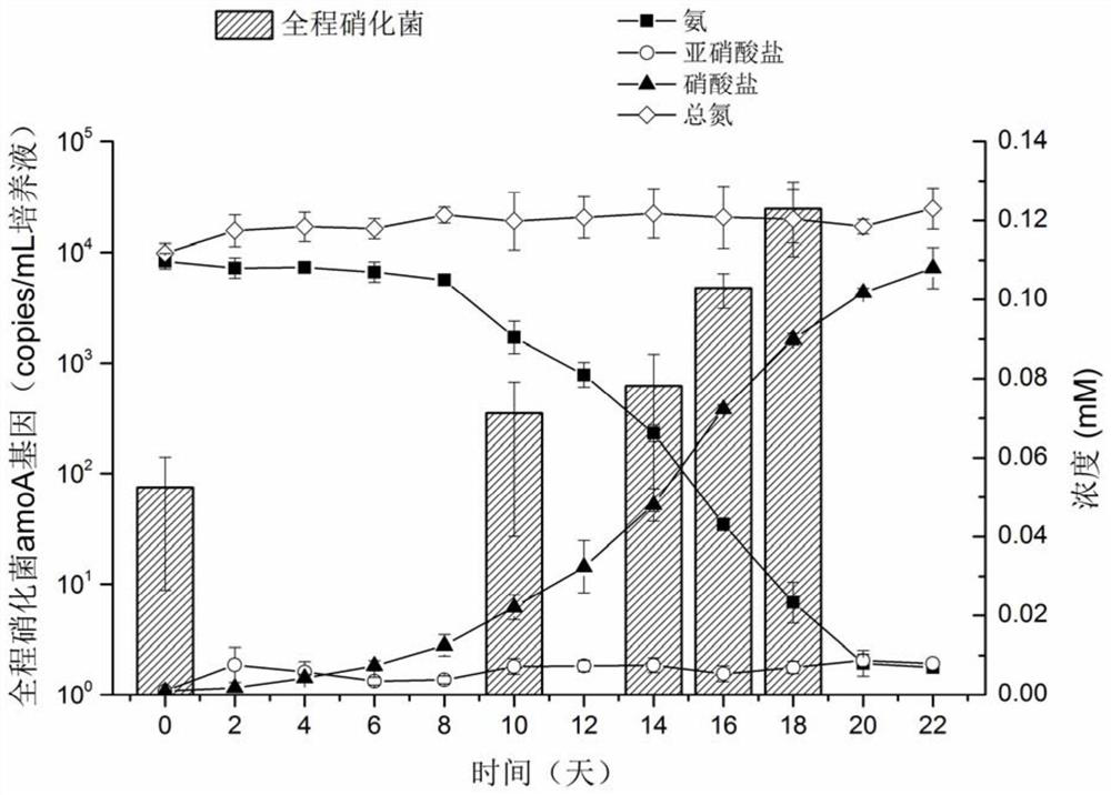 Enrichment culture method of whole-process nitrifying bacteria