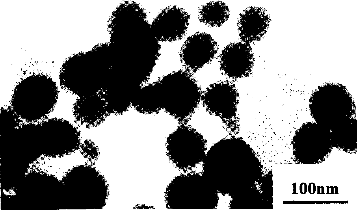 Prepn of mesoporous spherical nano Sio2 particle