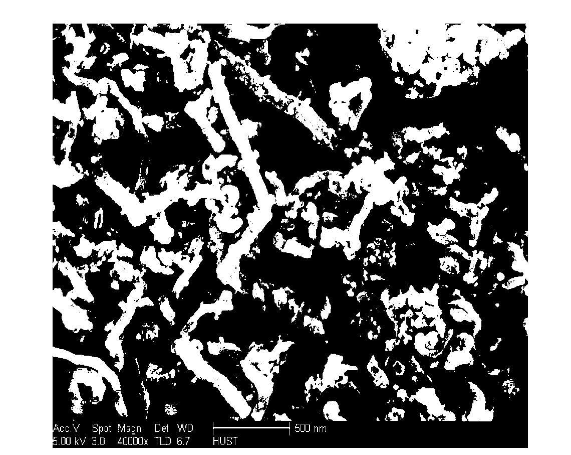 Preparation method of organic-inorganic composite proton exchange membrane for fuel cell