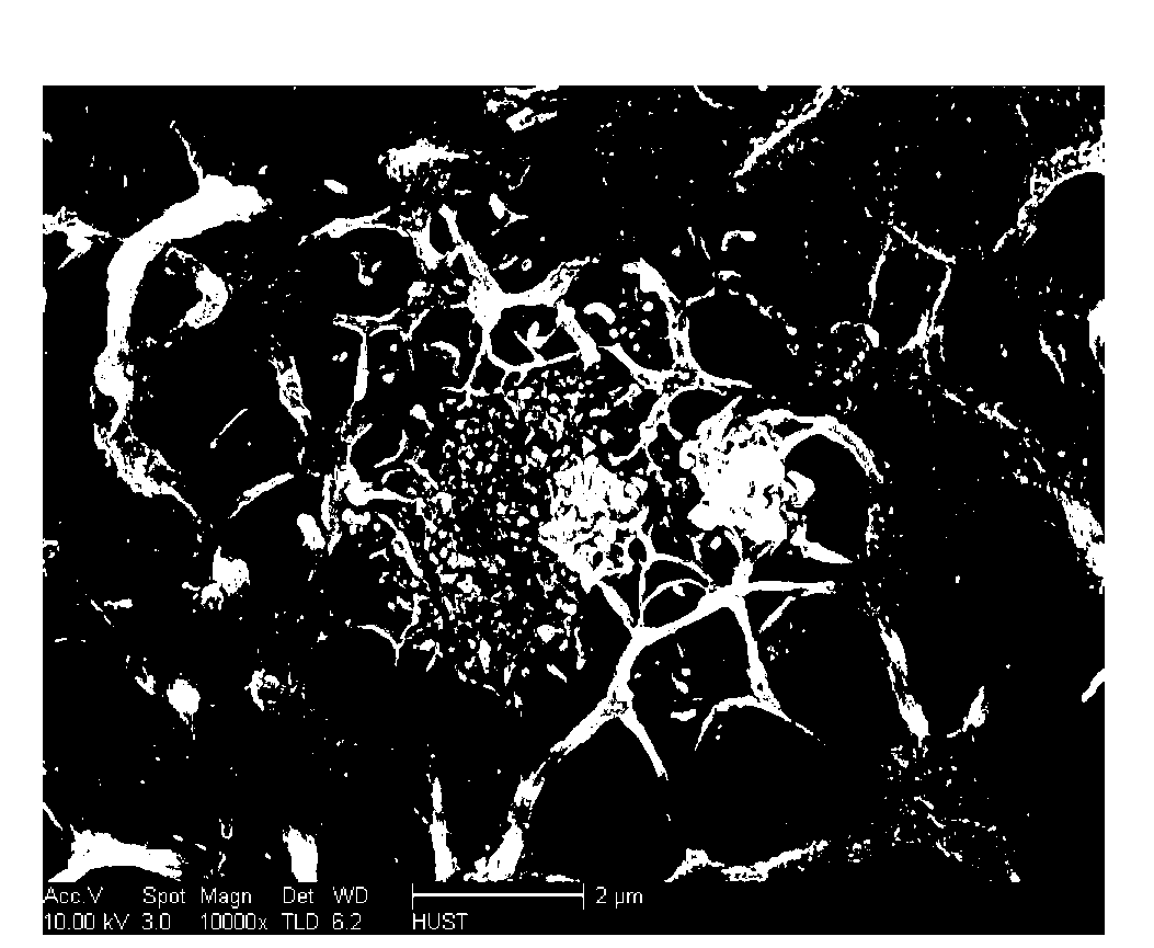 Preparation method of organic-inorganic composite proton exchange membrane for fuel cell