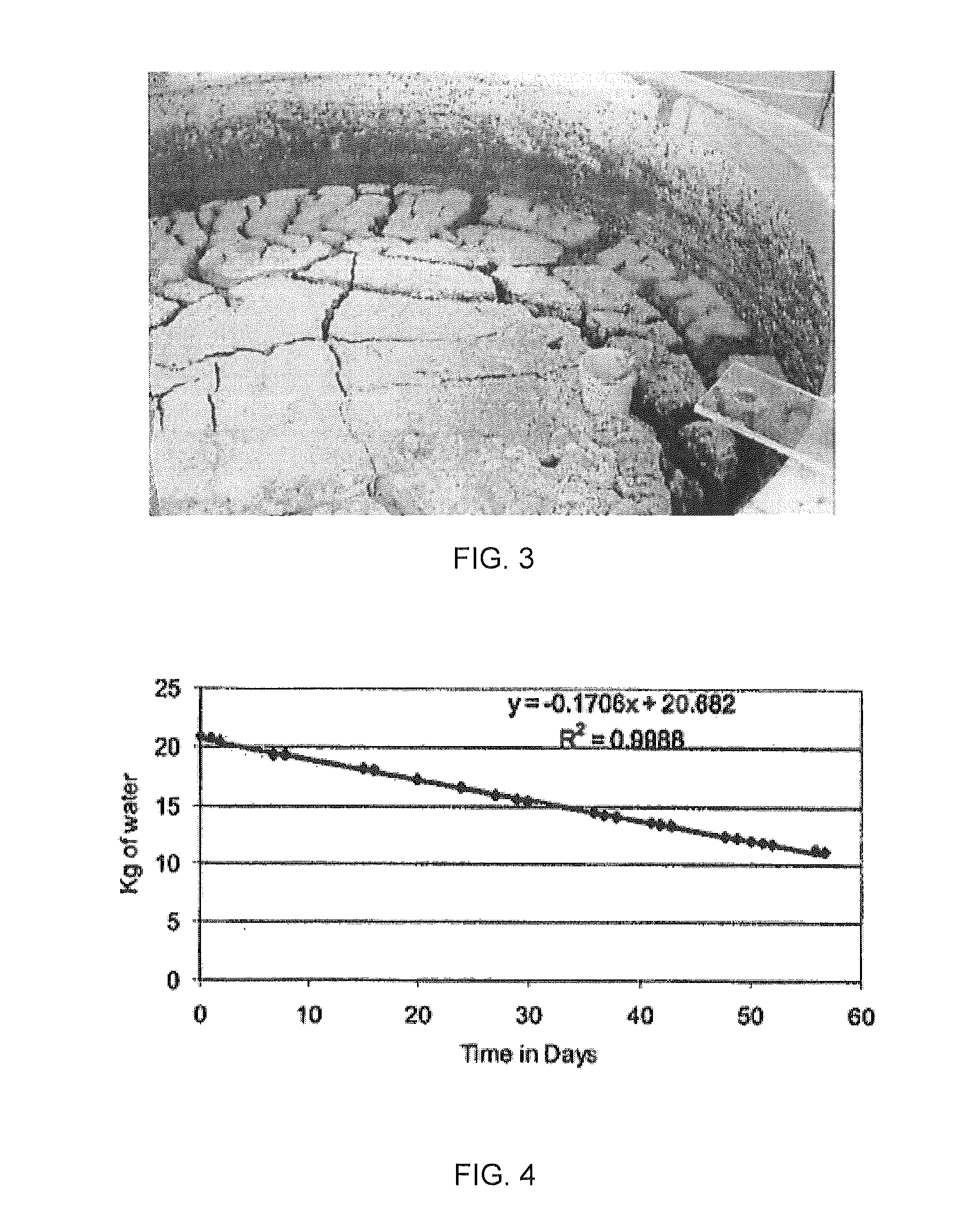 Oil sands fluid fine tailings dewatering using rim ditching