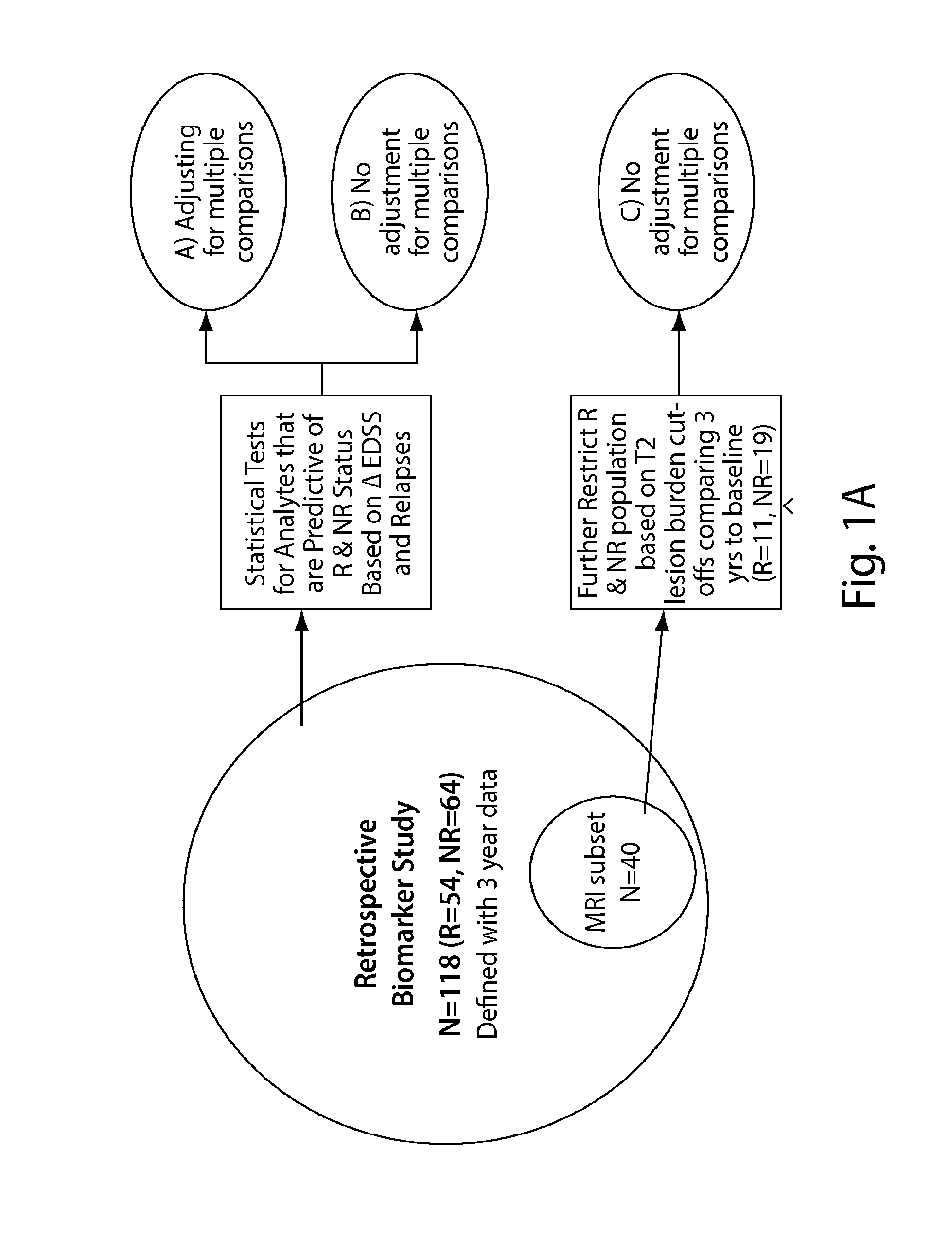 Biomarkers predictive of therapeutic responsiveness to ifnb and uses thereof