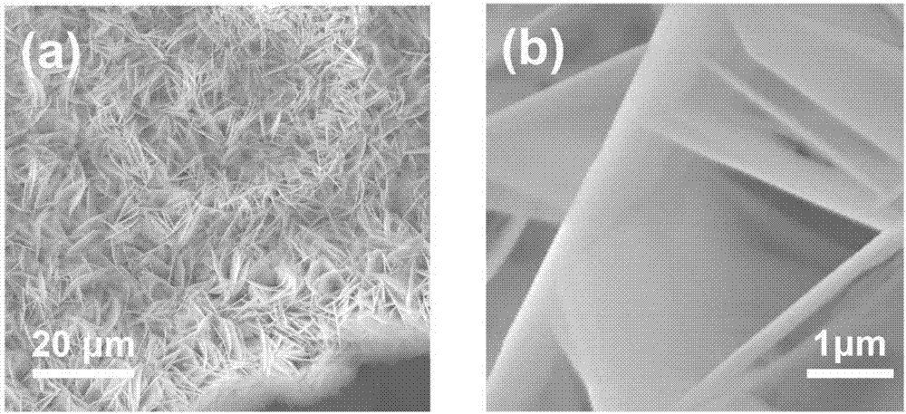 NiFeP bifunctional transition metal phosphide catalyst as well as preparation and use thereof