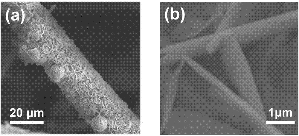 NiFeP bifunctional transition metal phosphide catalyst as well as preparation and use thereof