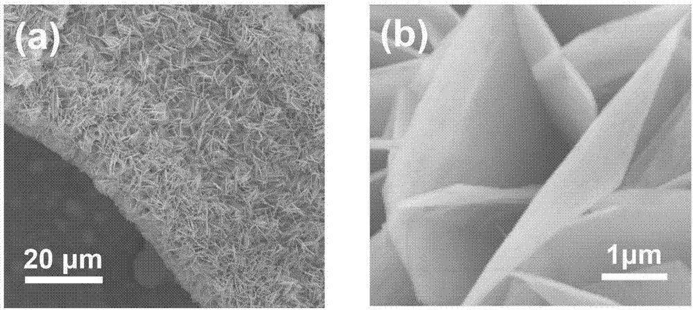 NiFeP bifunctional transition metal phosphide catalyst as well as preparation and use thereof