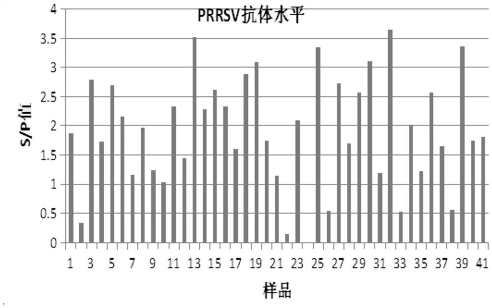 A traditional Chinese medicine composition for treating pig blue-ear disease and its application