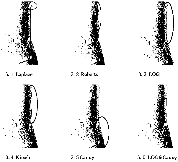 Seabed cable detection method based on side scan sonar data fusion and precision processing