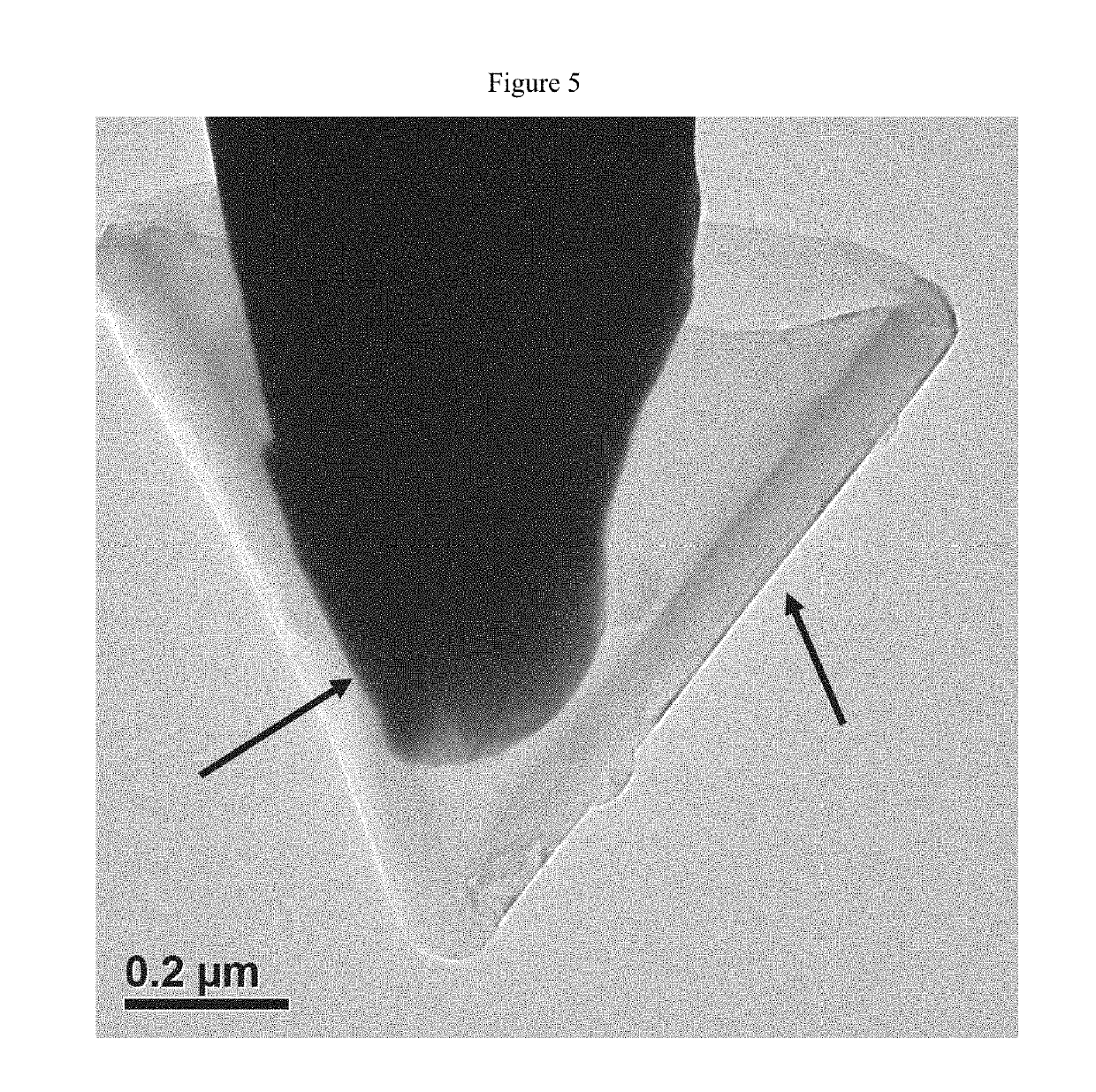 Tapered nano-carbon material functionalized needle tip and preparation method therefor