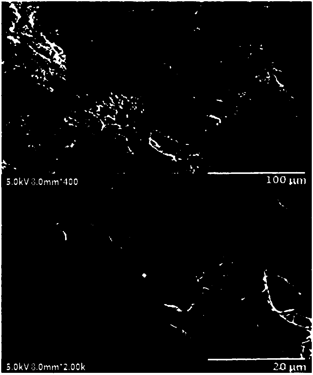 Polymer electrolyte membrane and solid-state battery