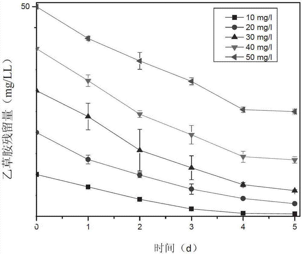 Achromobacter sp. D-12 and application thereof in microbial degradation of acetochlor