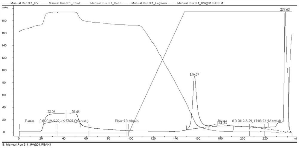 Preparation method of human papillomavirus and heat shock protein recombinant protein