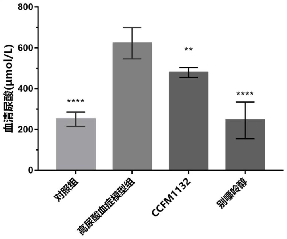 Lactobacillus reuteri CCFM1132 for relieving hyperuricemia and ulcerative colitis and application