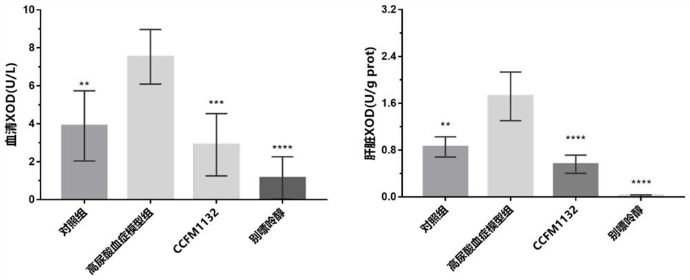 Lactobacillus reuteri CCFM1132 for relieving hyperuricemia and ulcerative colitis and application