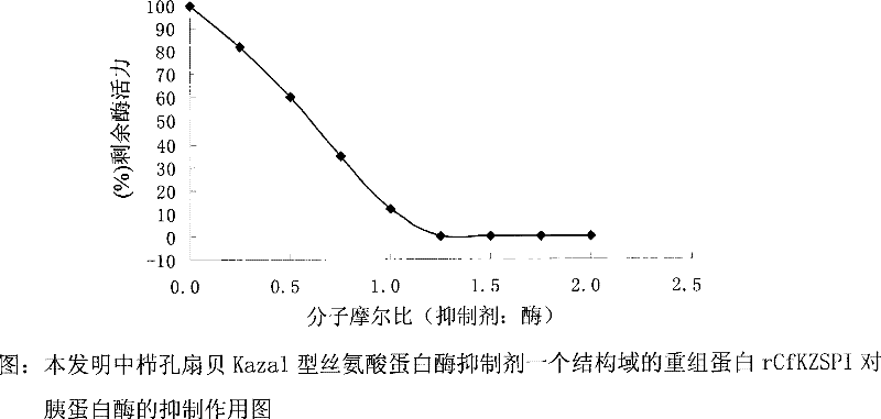 Chlamys farreri serine protease inhibitor CfKZSPI gene and its coding protein and application