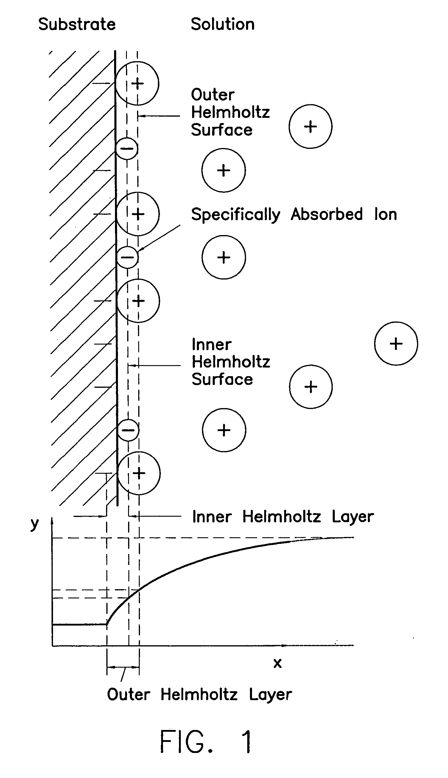 Method of depositing S-layer proteins on a carrier to immobilize functional molecules