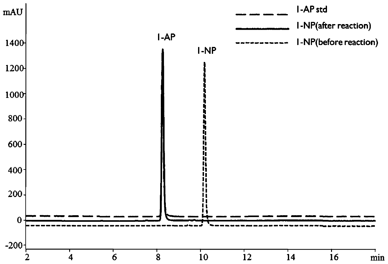 Method for detecting nitro polycyclic aromatic hydrocarbon and polycyclic aromatic hydrocarbon in soil