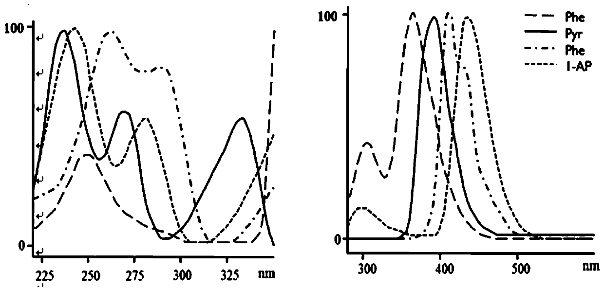 Method for detecting nitro polycyclic aromatic hydrocarbon and polycyclic aromatic hydrocarbon in soil