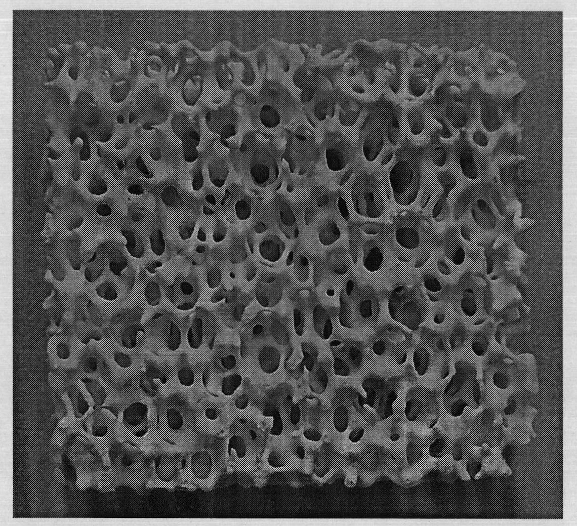 Yttria foamed ceramic filter and preparation method thereof