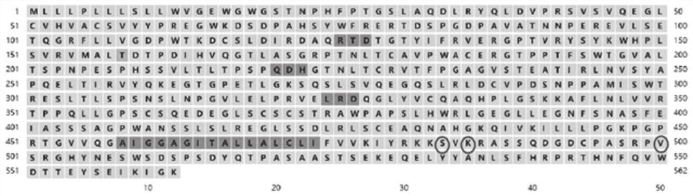 Application of SNP molecular marker in identification of high-reproductive-performance dairy cows and assisted breeding