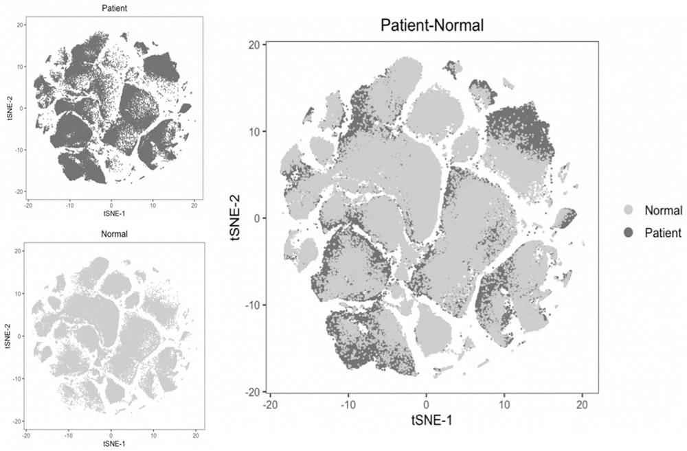 A precise detection kit for tumor immune cell subgroup typing