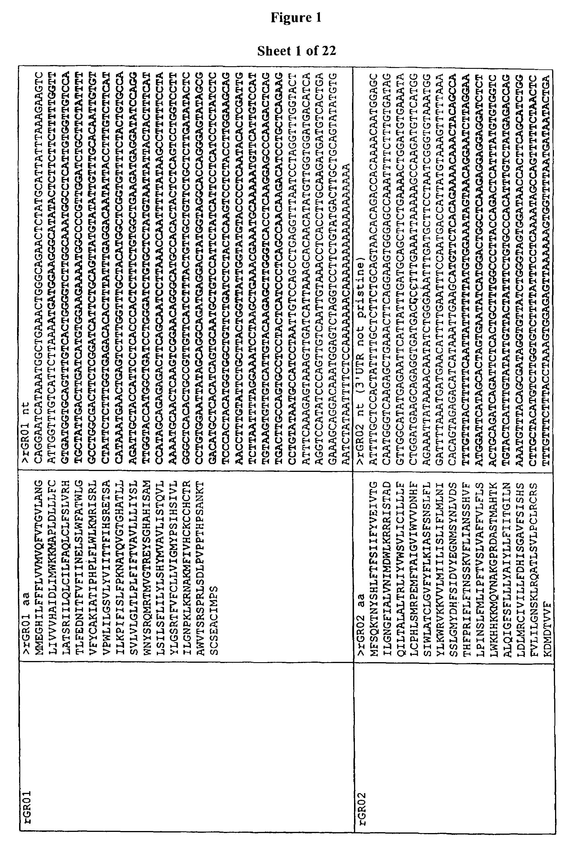 Nucleic acids encoding T2R of taste receptors