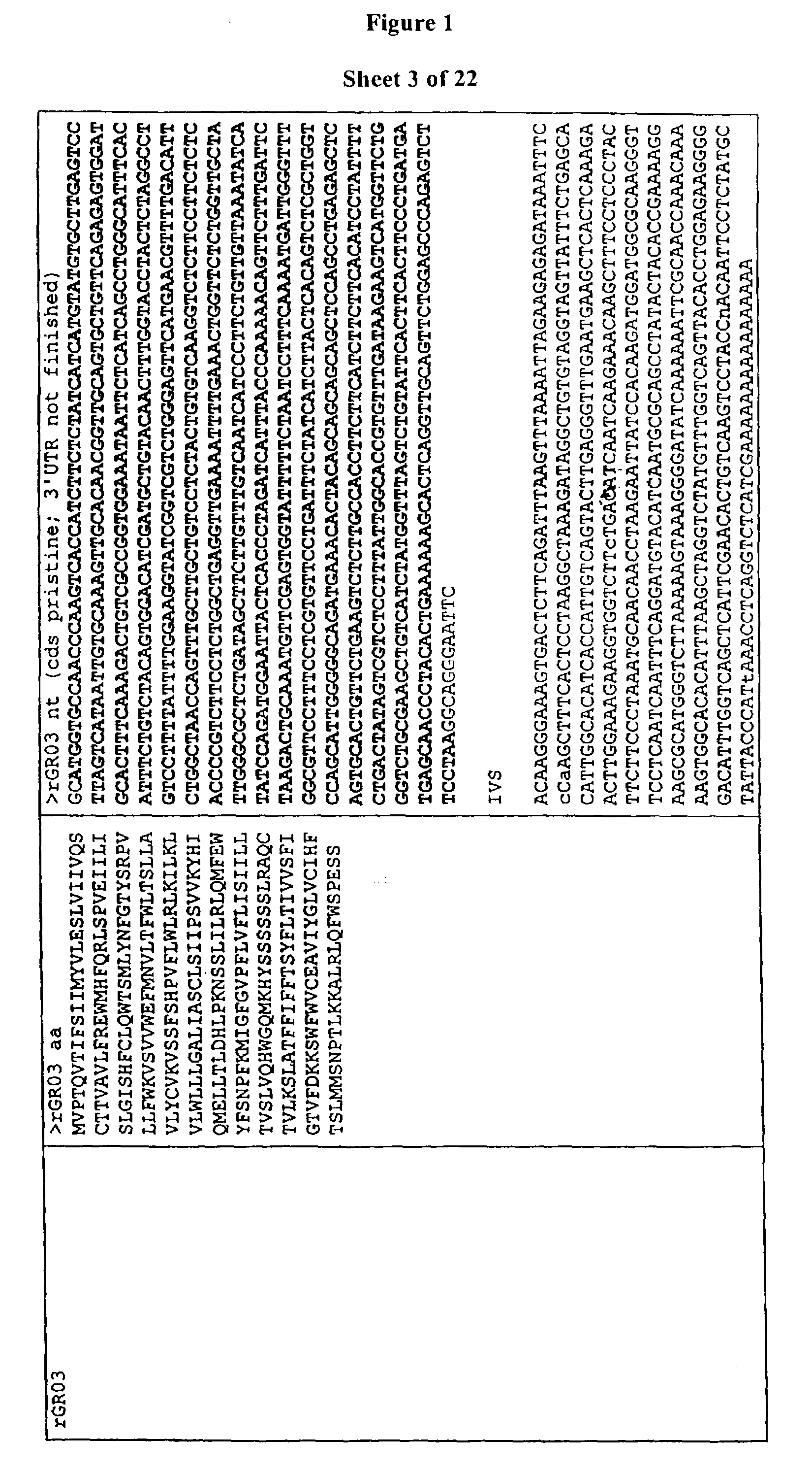 Nucleic acids encoding T2R of taste receptors