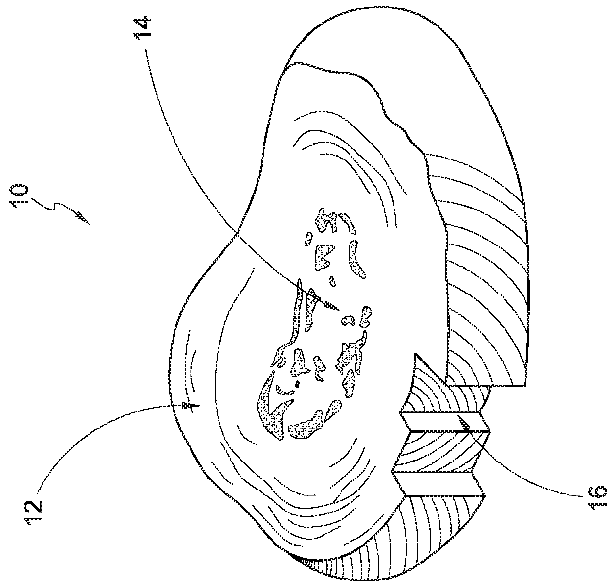 Tissue visualization and modification devices and methods