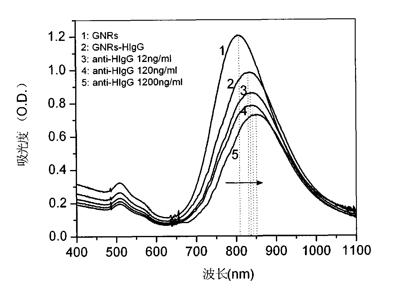 Gold nanorod immunoprobe, and preparation method and application thereof