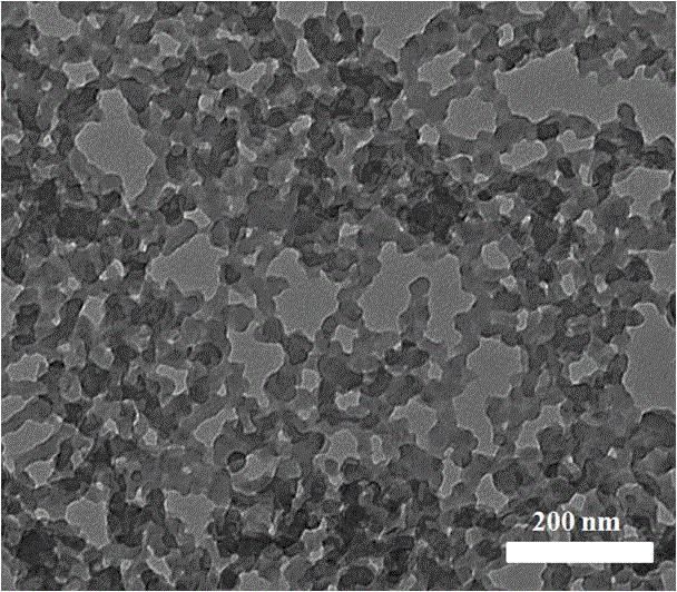 Application of carbon aerogel in regulating plant growth as nano-carbon fertilizer synergist