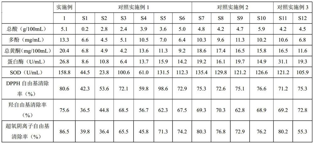 Plant ferment and preparation method and application thereof in skin care products