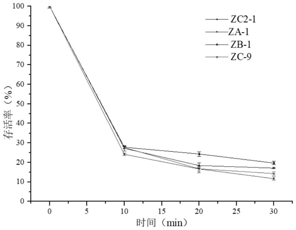 Bacillus and application thereof