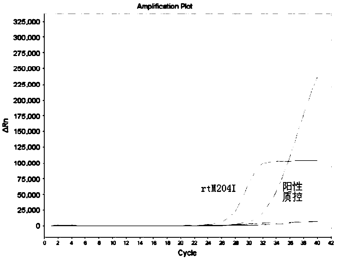 Kit for detecting drug-resistant mutation in YMDD motif region of hepatitis B virus