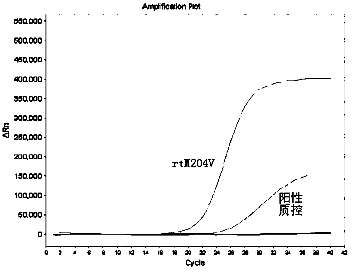 Kit for detecting drug-resistant mutation in YMDD motif region of hepatitis B virus