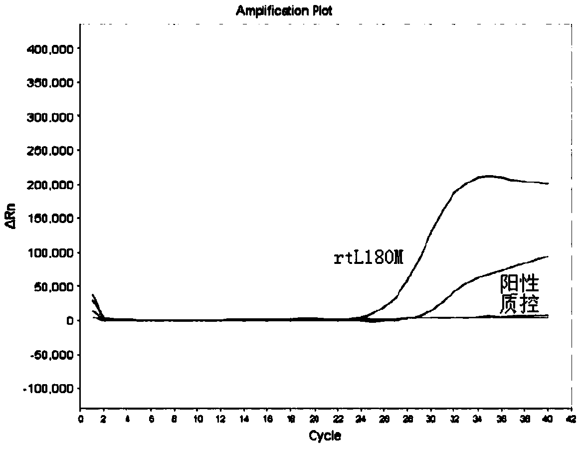 Kit for detecting drug-resistant mutation in YMDD motif region of hepatitis B virus