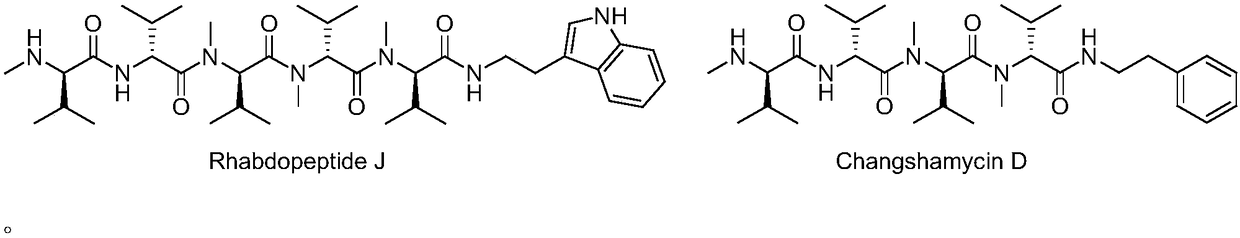 Two chain peptide compounds preparation method and application thereof