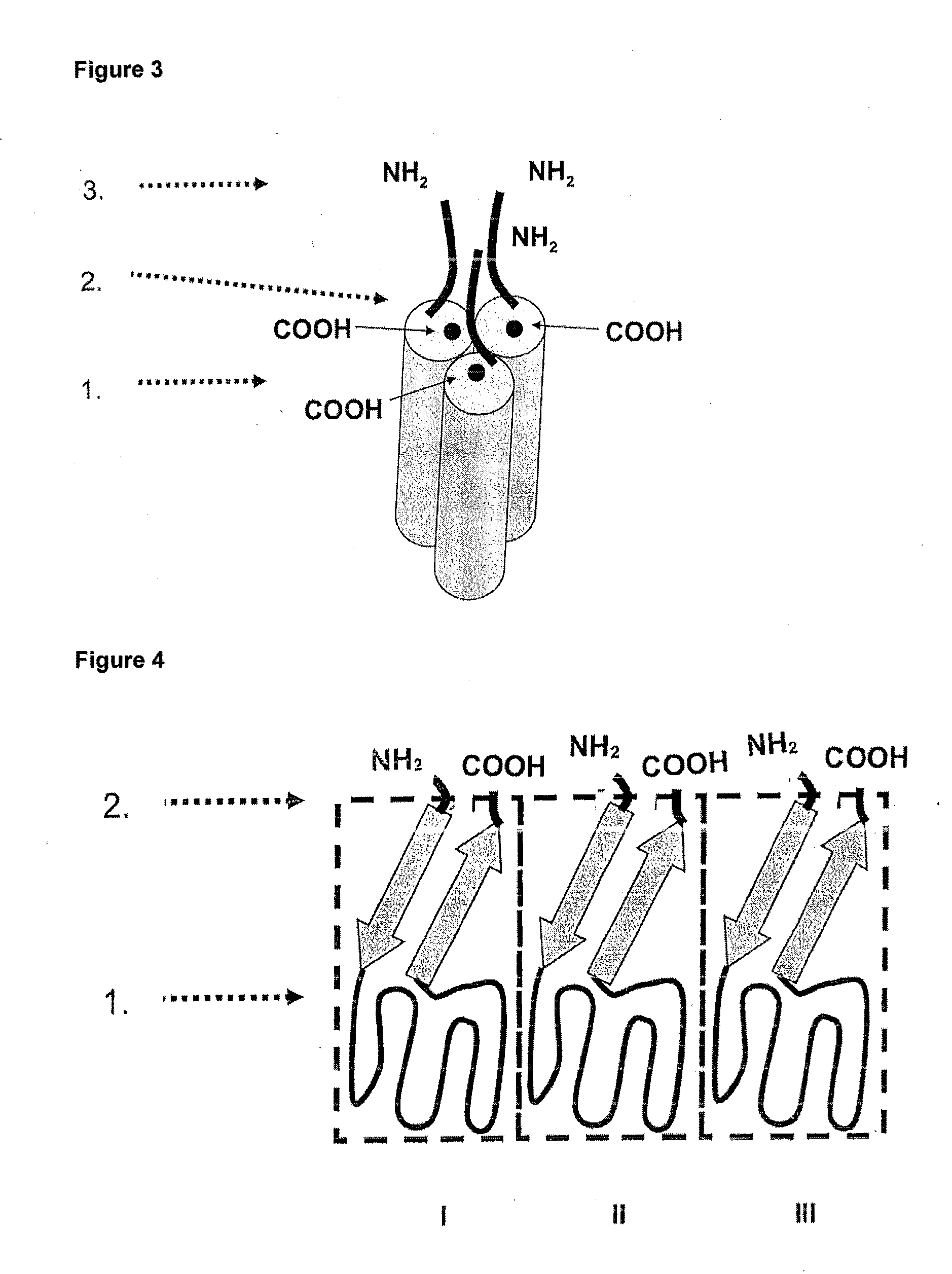 TNFSF Single Chain Molecules