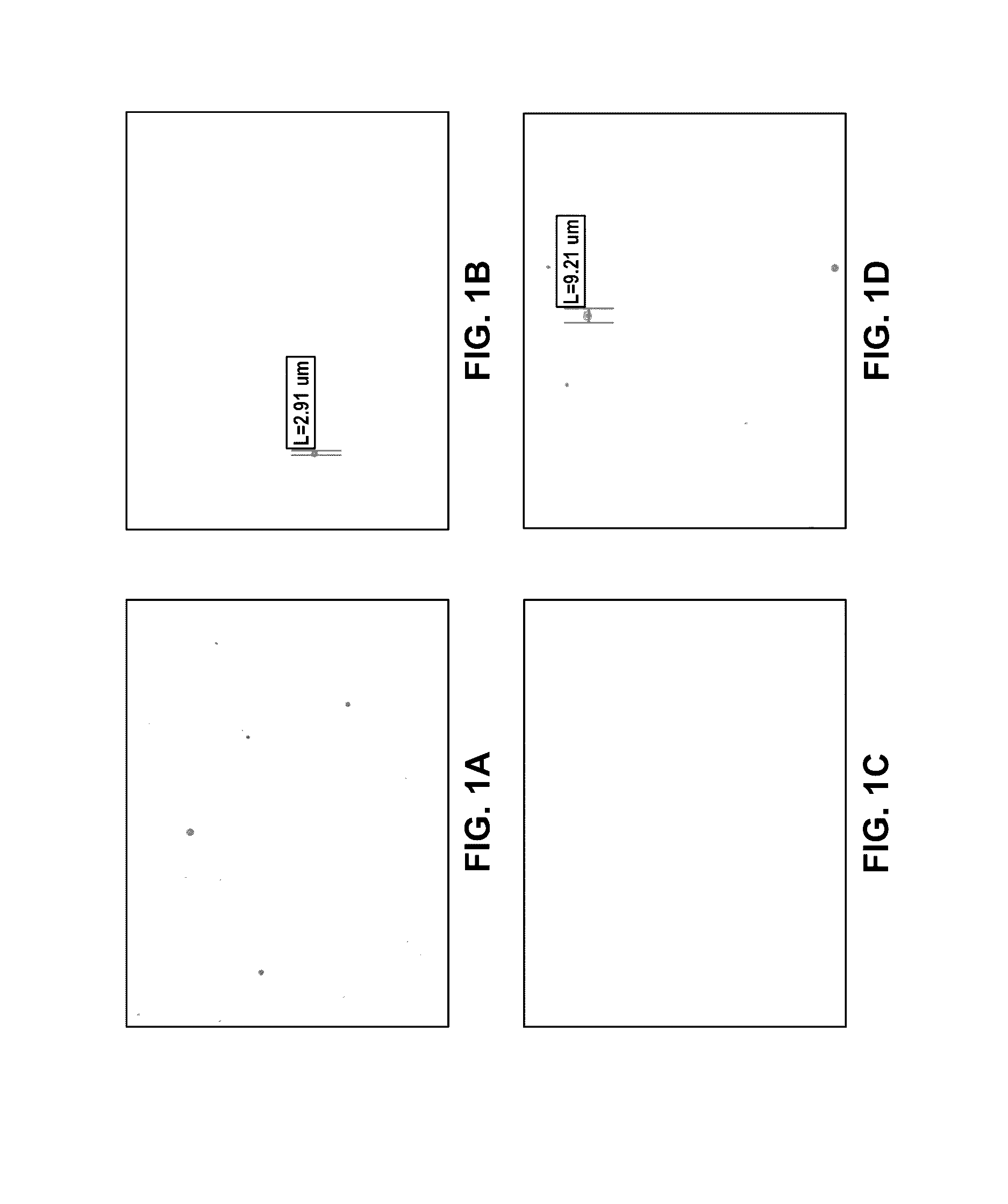 Emulsion formulations of aprepitant