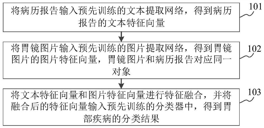 Text and picture-based bimodal stomach disease classification method and device